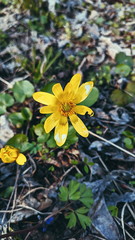 Processed with VSCO with ft6 preset