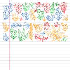 Hand vector drawn floral, leaves elements. Pattern for logo, greeting card, wedding design.