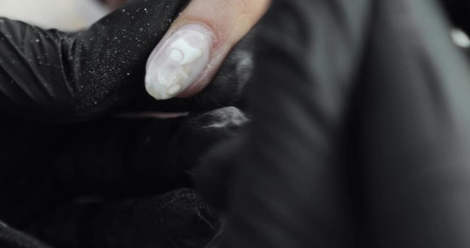Manicure master removing shellac and doing manicure for client using electric nail file drill machine, hands closeup view. Hardware manicure in beauty salon for woman.