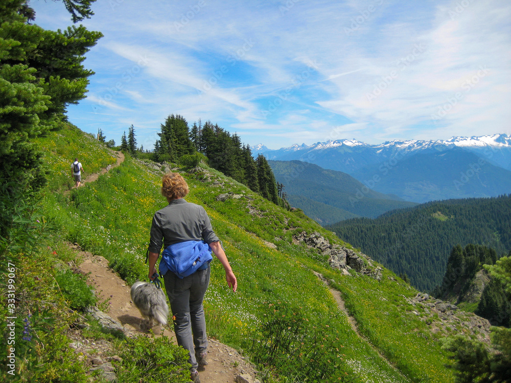 Wall mural woman hiking in the mountains with her shetland sheepdog