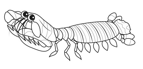 トラフシャコ キャラクター イラスト ぬりえ