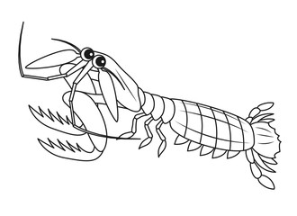 シャコ キャラクター イラスト ぬりえ