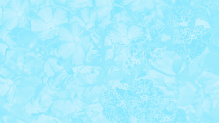 Turquoise aqua aquamarine gradient background, flower pattern. 16:9 panoramic format