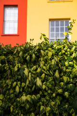 Colourful buildings in Dublin Castle, Ireland