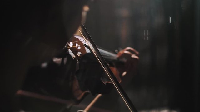 Young woman fiddler practice playing the violin at home in harsh daylight, low light scene, detail of instrument in moody scene, focus on bridge and bow