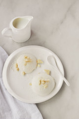Delicious italian dessert panna cotta with milk chocolate on a plate on white background