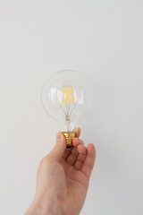 Female hand holding a light bulb. Isolated on white backgroun