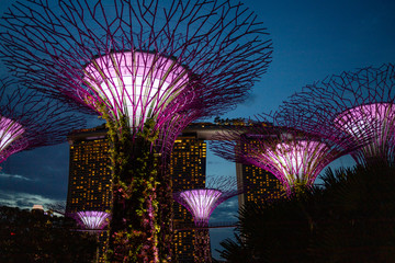 Naklejka premium Gardens By The Bay Light Show w Singapurze