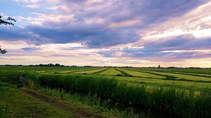 Fototapeta na wymiar Green fields in the evening with purple clouds far horizont
