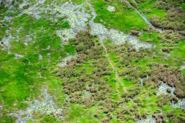 Green meadows look from the top view.