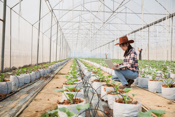 Agriculture technology concept man Agronomist Using a Laptop in an Agriculture Field read a report,...