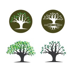 Root Of The Tree Logo