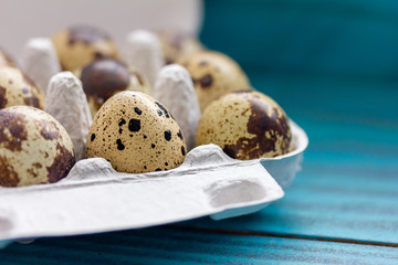 Wachteleier in einer Eierpappe vor blauem Hintergrund