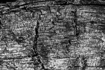 Scorched wood texture background