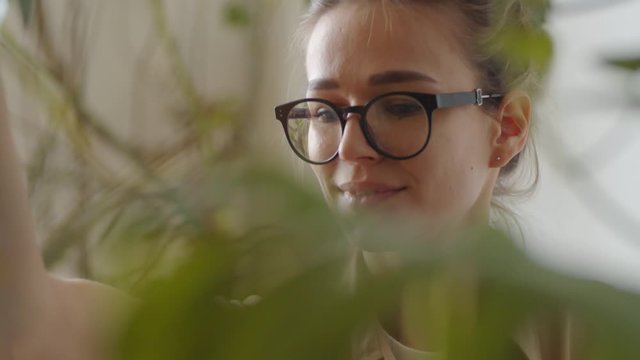 Beautiful female florist in glasses smiling and misting mostera leaves with water while caring for plants in her own shop