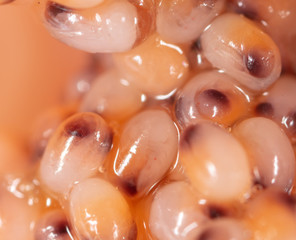 Red caviar in a shrimp as a background