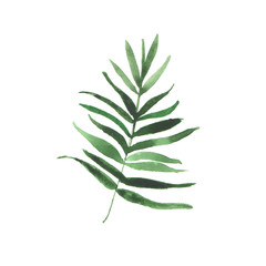 Watercolor illustration with branch, leaf 