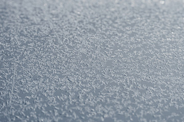Tiny snowflakes on the car bonnet