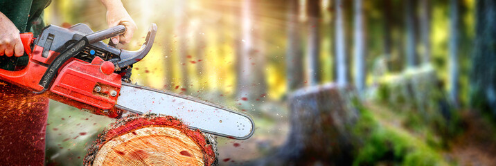 Chainsaw in motion wide banner or panorama photo. Woodcutter man clean chain saw after work. Hard...