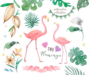 Exotic tropic bird pink flamingo with palm leaves and plant flower agave hand drawn watercolor. Print trendy flower illustration for design