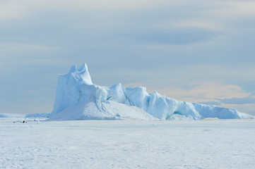 Beautiful view of icebergs in Snow Hill Antarctica © Silver
