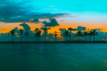 sunset beach palm tree tropical clouds sky orange sea ocean island sunrise coast florida dusk beautiful eden coconut impressions sun silhouette traveling sand vacation nature © Alberto GV PHOTOGRAP
