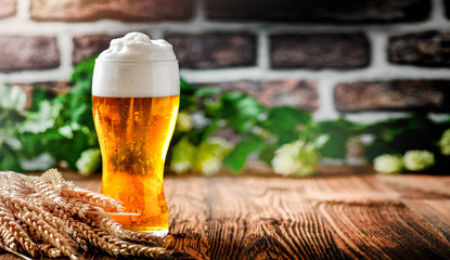 Beer in glass with on the dark background. Light beers at wooden table.