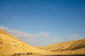 Field Trip in a desert