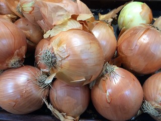 sweet onions at the market