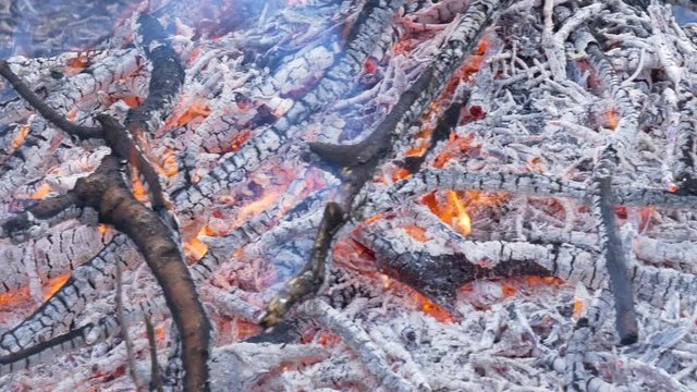 A burning bonfire in a natural setting. Orange and red flames and gray smoke blown away by the wind. Burning sticks.