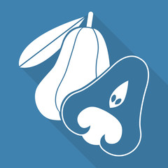 flat icons for fruits,rose apple,vector illustrations