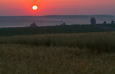Beautiful summer sunrise