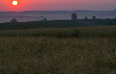 Beautiful summer sunrise