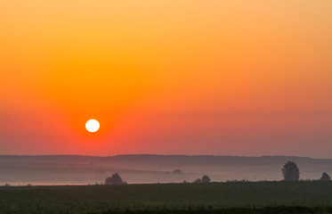 Beautiful sunrise in the field on a summer morning