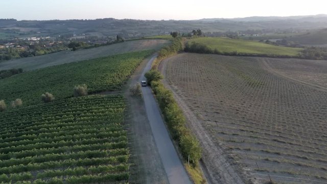Aerial view of an asphalt road with a car go by at sunset, the route passes in the middle of fields planted with wine grapes