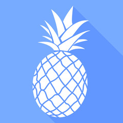 flat icons for fruits,pineapple,vector illustrations