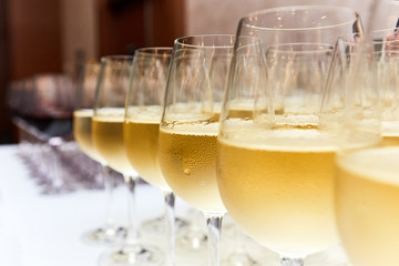 Glasses of white wine on bar counter