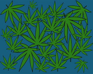 background of marijuana leaves,  cannabis culture