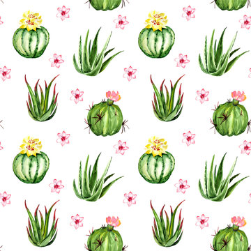 Watercolor cactus seamless pattern background. Artwork hand-drawn painted.