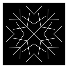 Snowflakes form in a wide variety of intricate shapes