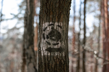 Wegweiser und Hinweisschild auf einen Pferdeweg im Wald