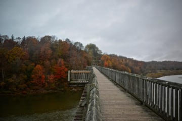 Fototapeta premium bridge over the river