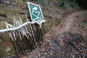 wood crutches sign roadsign handmade outdoor in autumn summer adventure trekking hike sport mountain park nature