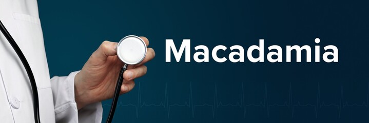 Macadamia. Doctor in smock holds stethoscope. The word Macadamia is next to it. Symbol of medicine,...