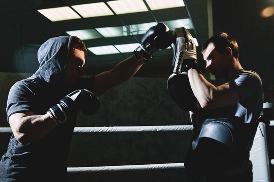 Professional boxers with gloves train fights in indoor boxing ring, dark colors
