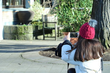 Fototapety na wymiar - Fototapeta24.pl