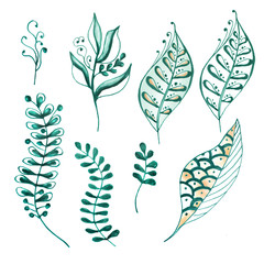 Bundle green leaf pencil drawing