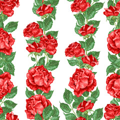 Red Roses Seamless pattern in vector illustration