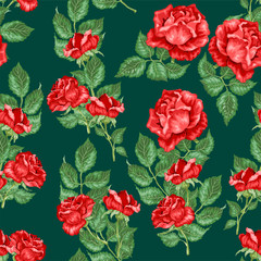 Red Roses Seamless pattern in vector illustration