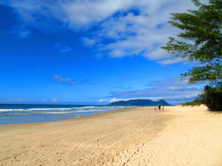 Beach in Florianopolis